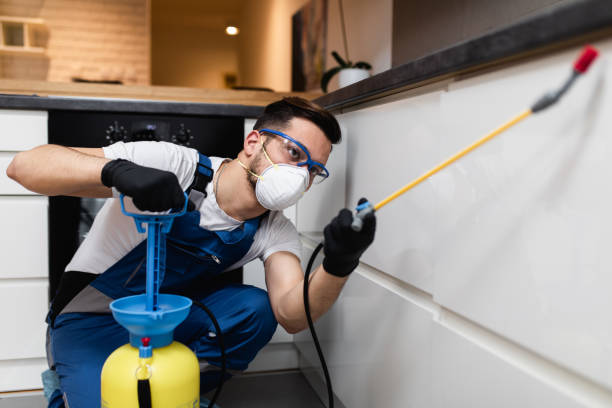 Best Cockroach Control Services  in Ladera Ranch, CA