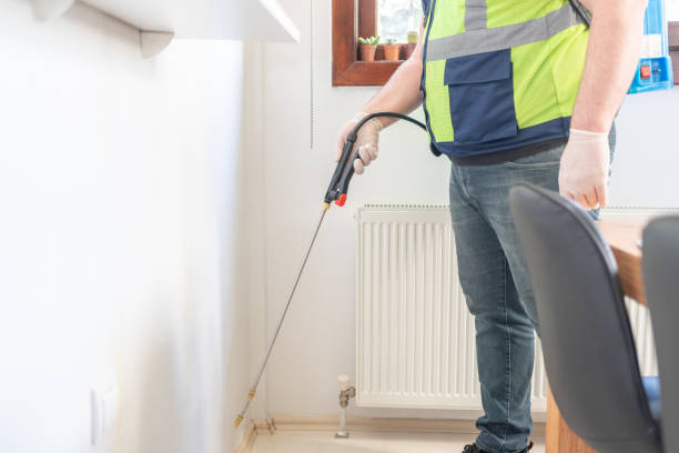 Best Local Pest Control Services  in Ladera Ranch, CA