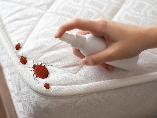 Best Bed Bug Extermination  in Ladera Ranch, CA