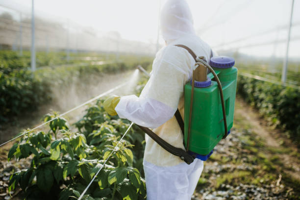  Ladera Ranch, CA Pest Control Pros